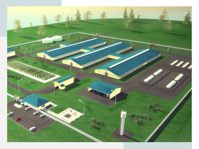 Проектирование современных коровников под ключ в Крымске